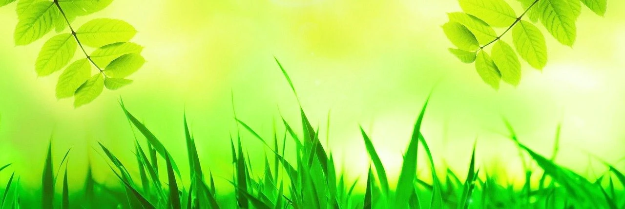 Tin tức sự kiện