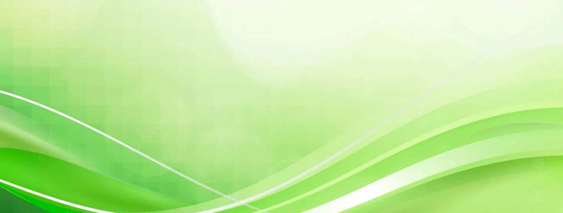 Điều khoản & Chính sách