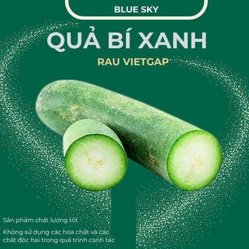 Quả bí xanh - VIETGAP