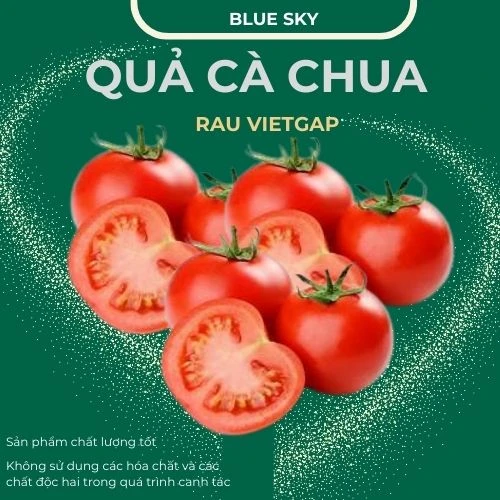 Quả cà chua - VIETGAP