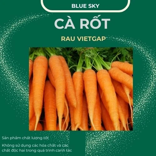 Cà rốt - VIETGAP