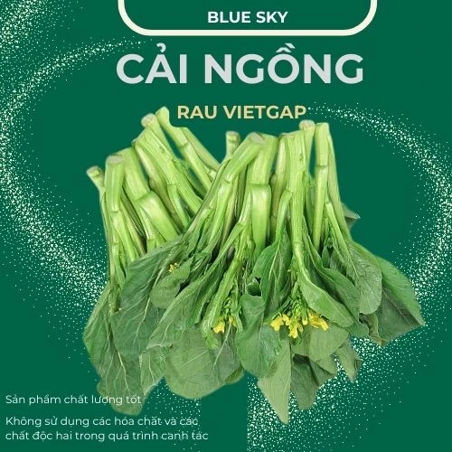 Cải ngồng - VIETGAP