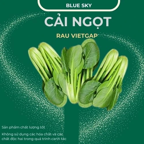 Cải ngọt - VIETGAP