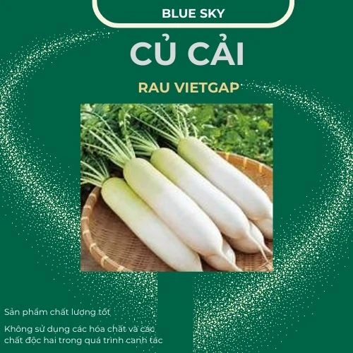 Củ cải - VIETGAP