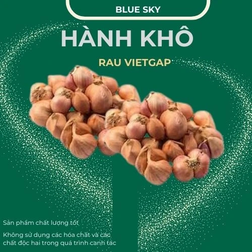 Hành khô - VIETGAP