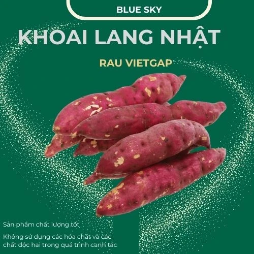 Khoai lang nhật - VIETGAP