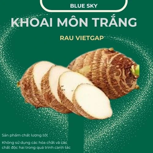Khoai môn trắng