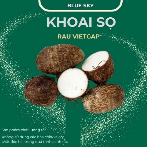 Khoai sọ - VIETGAP