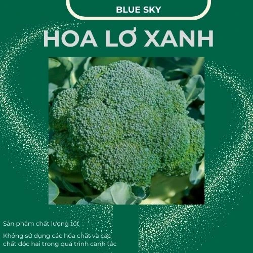 Hoa lơ xanh
