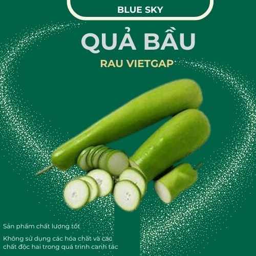 Quả bầu - VIETGAP