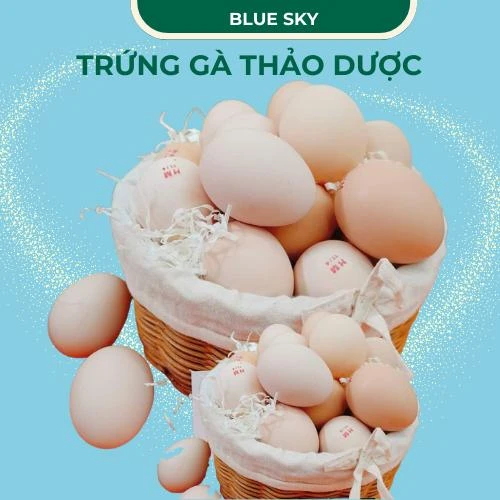 Trứng gà thảo dược