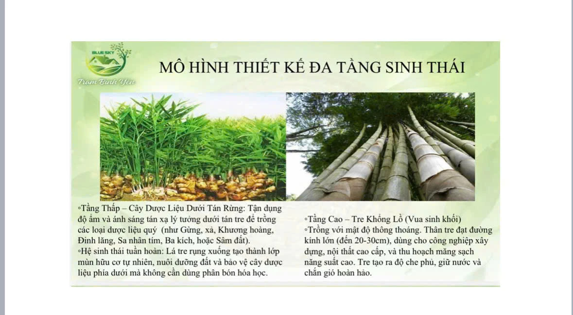 MÔ HÌNH THIẾT KẾ ĐA TẦNG SINH THÁI