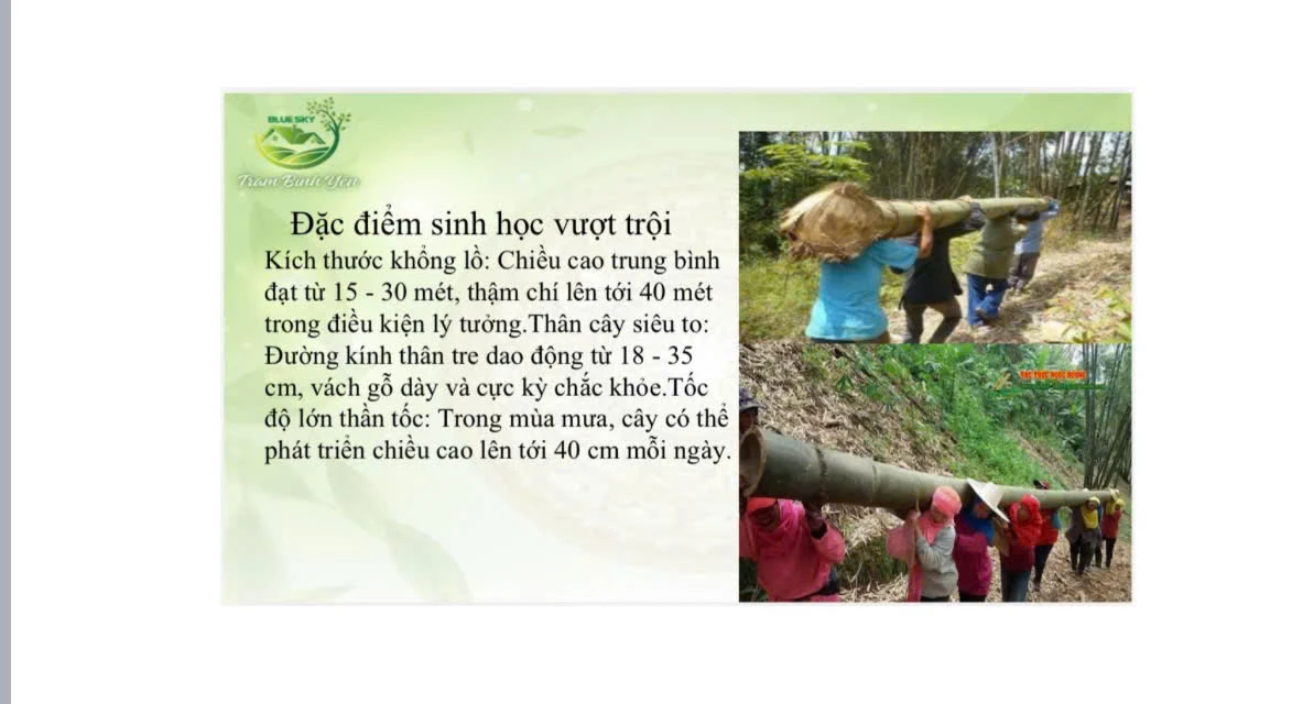 ĐIỂM SINH HỌC VƯỢT TRỘI