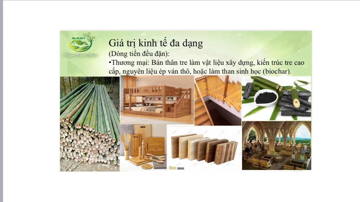 GIÁ TRỊ KINH TẾ