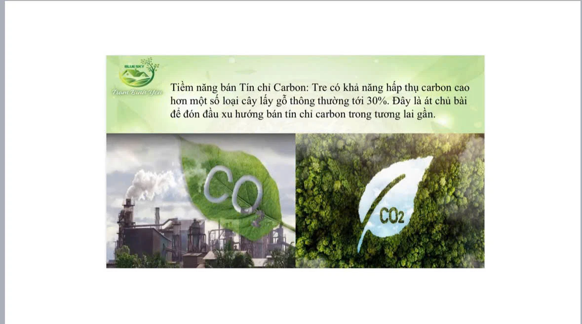 TÍN CHỈ CARBON